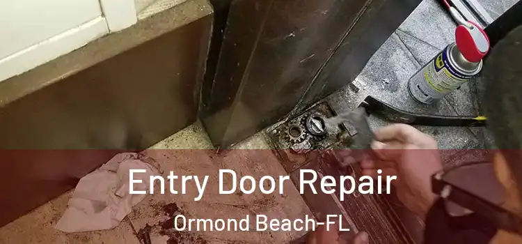 Entry Door Repair Ormond Beach-FL