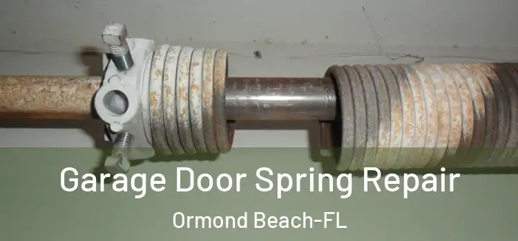 Garage Door Spring Repair Ormond Beach-FL